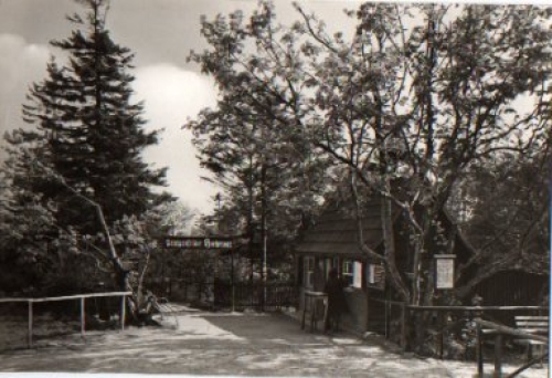 01773 Zinnwald-Georgenfeld, Hochmoor *ca. 1980