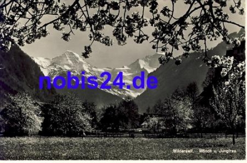 Widerswil Moench und Jungfrau o 1961