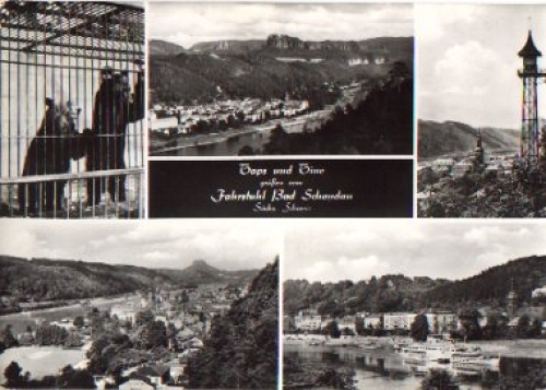 01814 Bad Schandau Bären vom 18.5.1978
