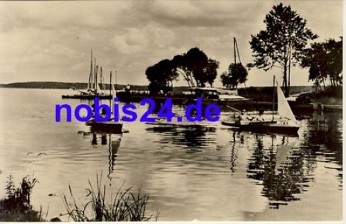 19395 Plau Plauer See Paddelboote o ca.1962