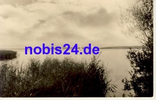 19395 Plau am See  *ca. 1957