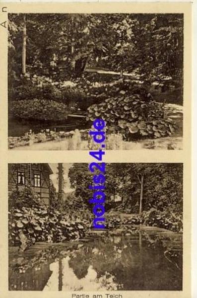 23714 Malente Gremsmuhlen Am Teich  *ca.1930
