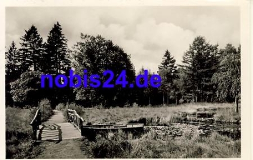 23879 Moelln Idylle o 1954