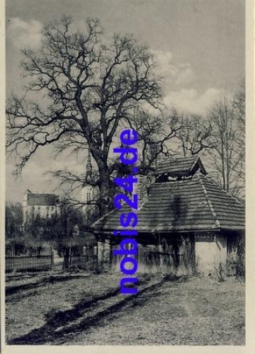 01326 Schoenfeld Kirche *ca.1950