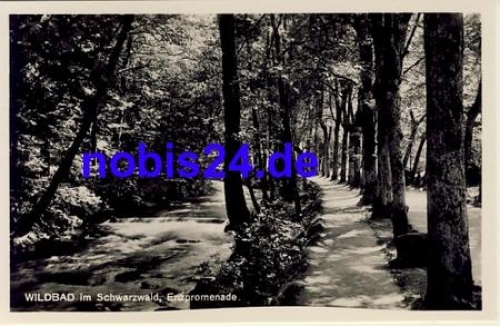 75323 Wildbad Enzpromenade *ca.1930