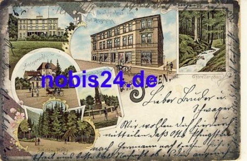 38723 Seesen Litho o ca.1915