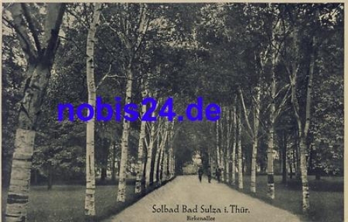 99518 Bad Sulza Birkenallee *ca.1955
