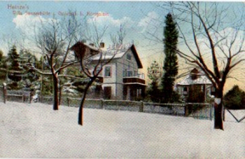 01824 Gohrisch Heines Villa Sennerhuette Winter o 17.1.1917