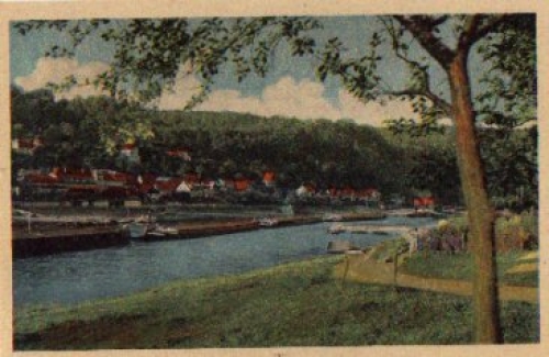 01829 Wehlen *ca. 1920