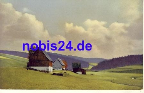 01773 Zaunhaus Rehefeld Kalkofen o 1931