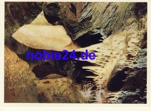 08548 Syrau dragon cave *ca.1958