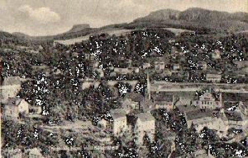 01829 Wehlen mit Baerenstein *ca. 1960