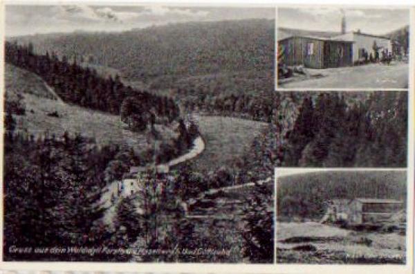 01816 Haselberg Waldidyll forestry house emergency construction after the storm on December 26th, 1936