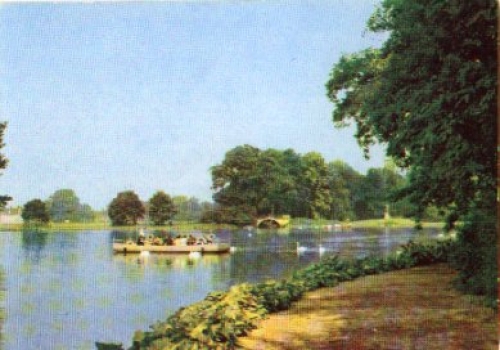 06786 Wörlitz landscape park, large lake with a view of the palm house * approx. 1970