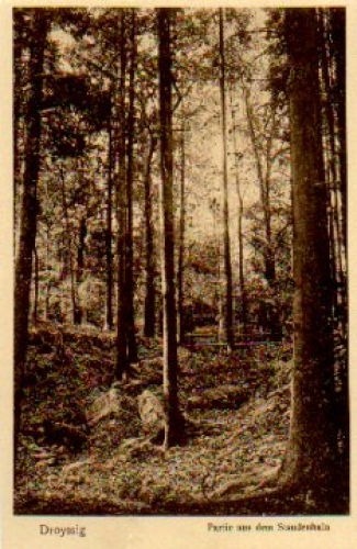 06722 Droyssig Staudenhain, * ca. 1920