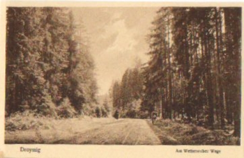 06722 Droyssig Am Wetterzeuber Wege * ca. 1930