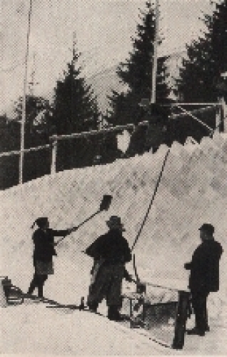 Olympic Games 1936 sports collective picture