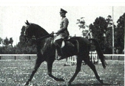 Olympic Games 1936 Pollay, winner in dressage riding