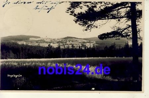 08209 Vogelsgrun o 1928
