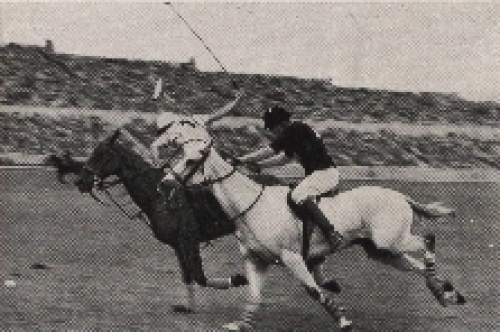 Olympic Games 1936, Hunting of the Horsemen collective picture, no AK