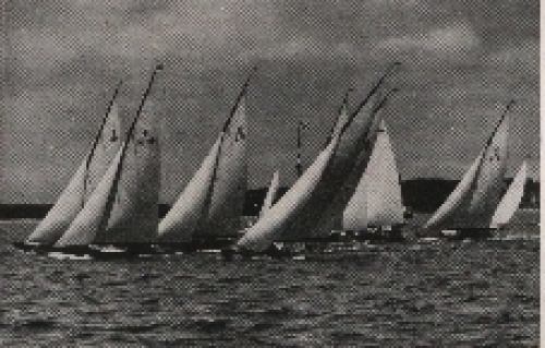 Olympic Games 1936, boats of the 8-m-R-class collective picture, no AK