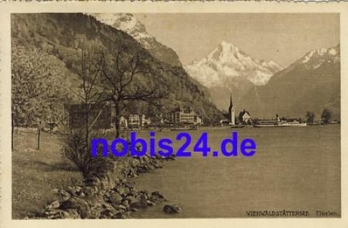 Fluelen Birkenstock *ca.1935