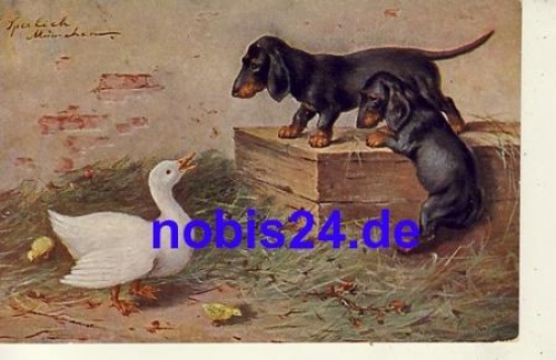 Dachshund with goose artist card o 1916