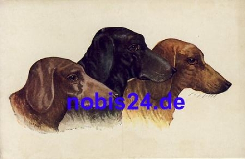Dachshund Head Parade * circa 1920