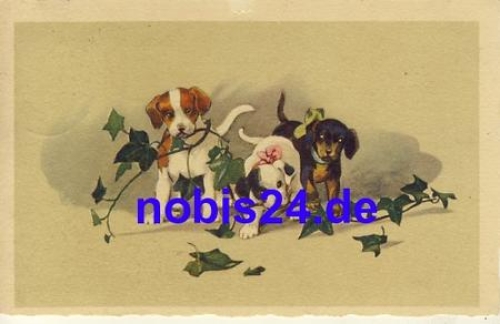 Dachshund Group o 1928