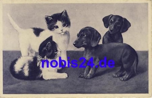 Dachshunds and cats * around 1930