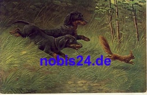 Dachshund and squirrel artist card Mueller o 1918