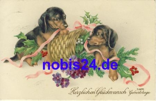 Dachshund birthday flowers o 1928