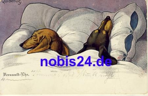 Dackel im Bettchen o 1906