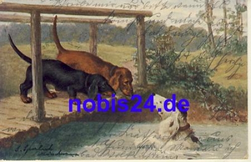 Dackel auf Brücke o 1907