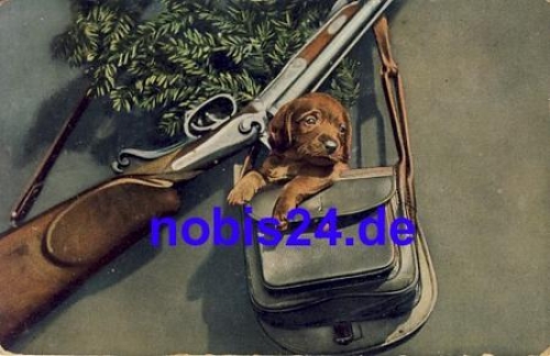 Dackel und junger Jagdhund o 1910