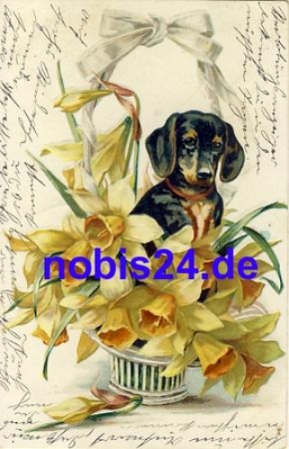 Dackel Blumen Prägekarte o 1906