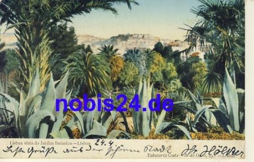 Lisbon Botanical Garden PORTUGAL o 1906