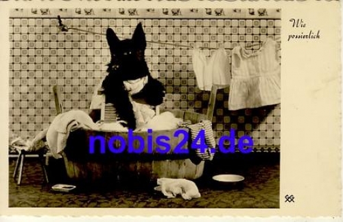 Dog washing clothes *ca.1935