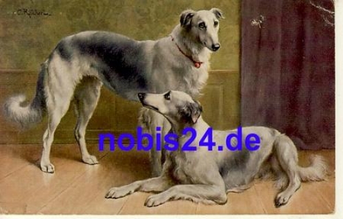 Persische Windhunde Künstlerkarte Reichert *ca.1915