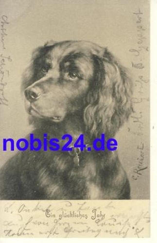 New Year's Hunting Dog o 1903