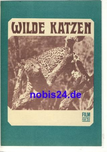 Wild Cats by James Algar Progress film program 93/69 film for you
