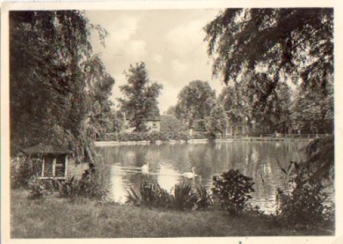 06246 Bad Lauchstadt Parkteich o 2.6.1943