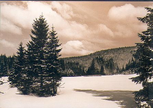 01776 Tal der wilden Weisseritz  1962 Hanich1484