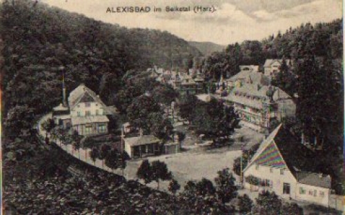 06493 Alexisbad gebr. ca. 1910