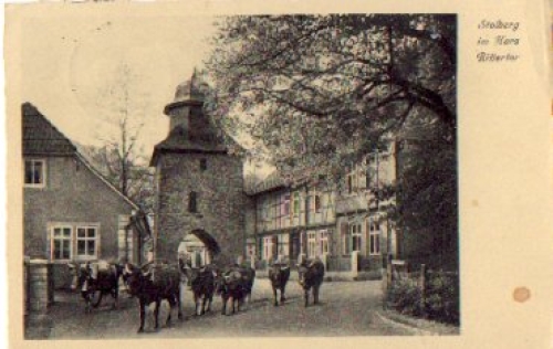06547 Stolberg Rittertor Cows o 17.6.1938