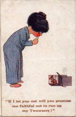 mouse in cage circa 1920
