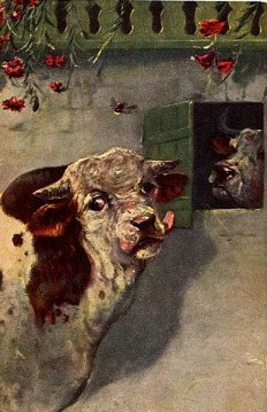 Kuh mit Biene Künstlerkarte * ca. 1920