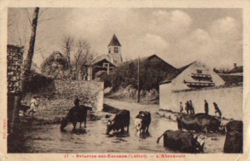 Briarres-sur-Essonne Kuhe Region Centre-Val de Loire o 23.7.1940