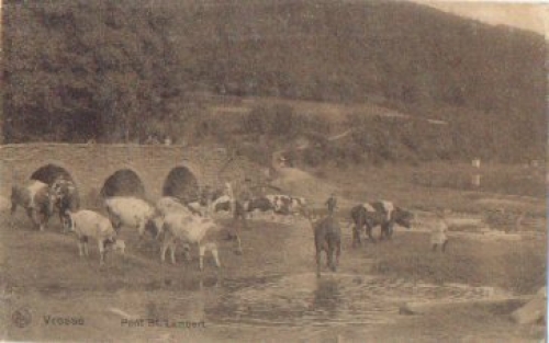 Cow at the drinking trough in St. Lambert o April 13, 1914