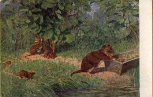Rats and Mice artist card * ca. 1930
